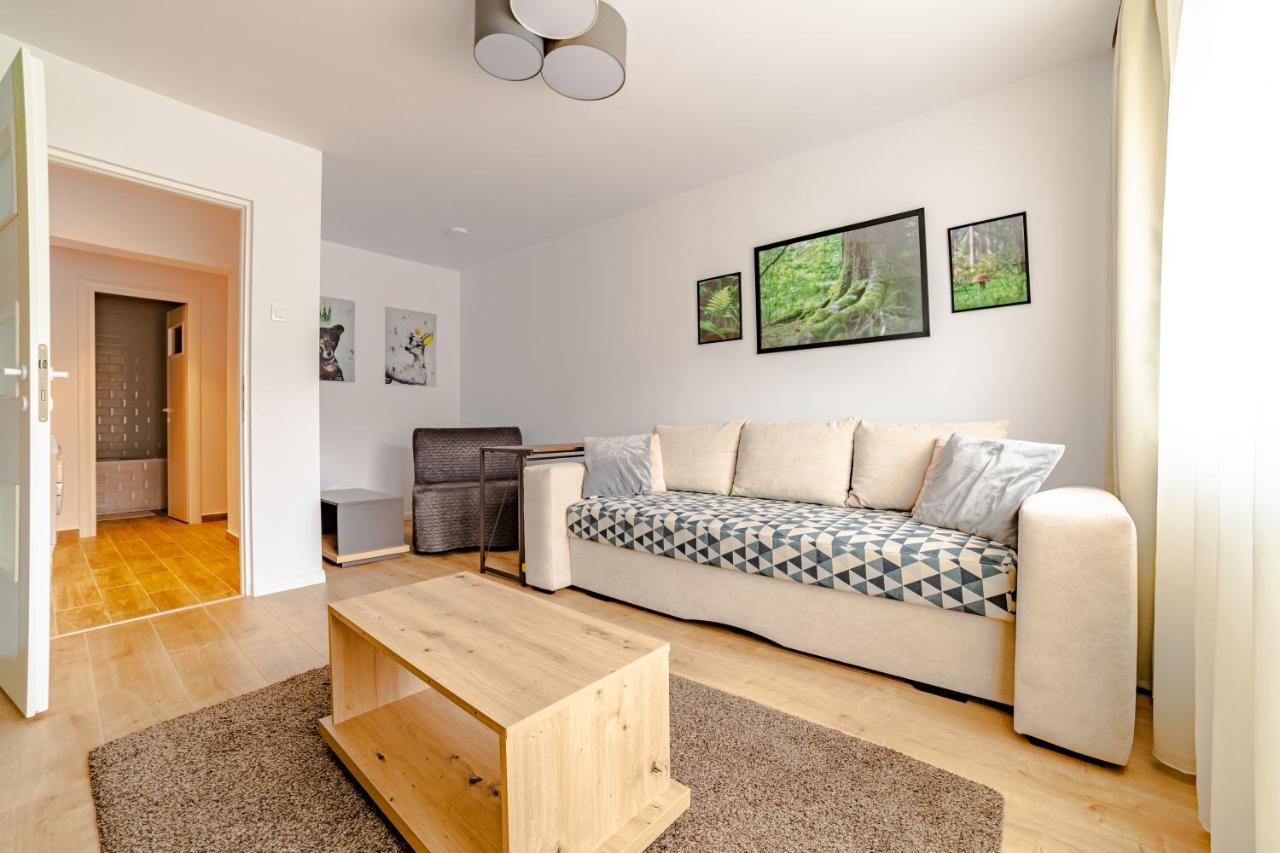 Mid-Term Rental Racadau Apartment Brasov Exterior photo